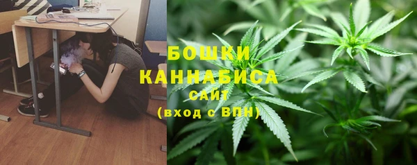 apvp Белокуриха