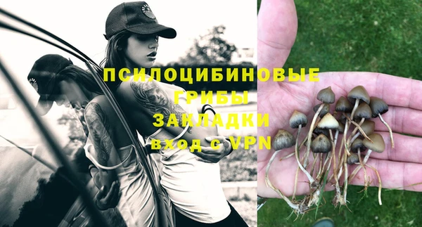 гашик Бронницы