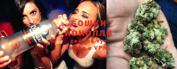 apvp Белокуриха