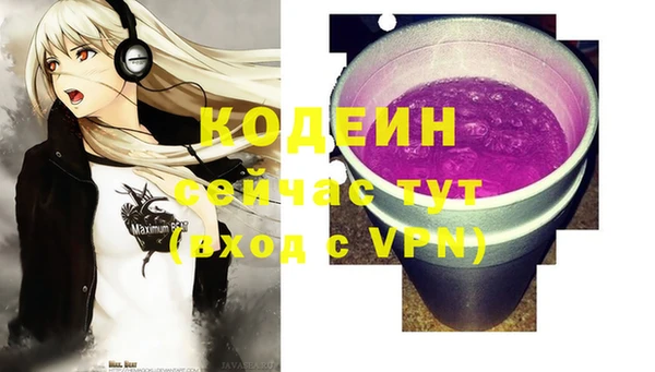спиды Богородицк