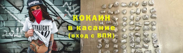 гашик Богданович