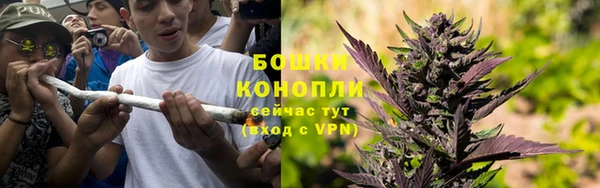 PSILOCYBIN Белоозёрский