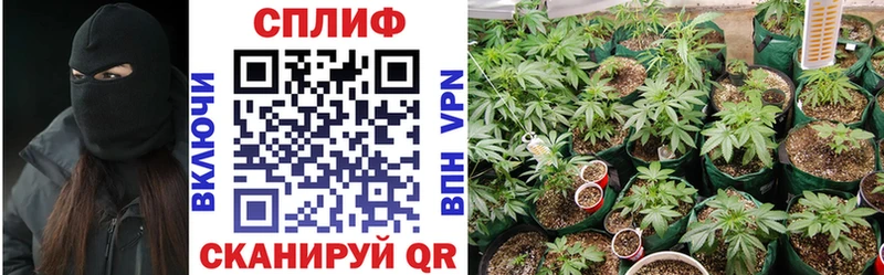 Бошки марихуана ГИДРОПОН  Ворсма 